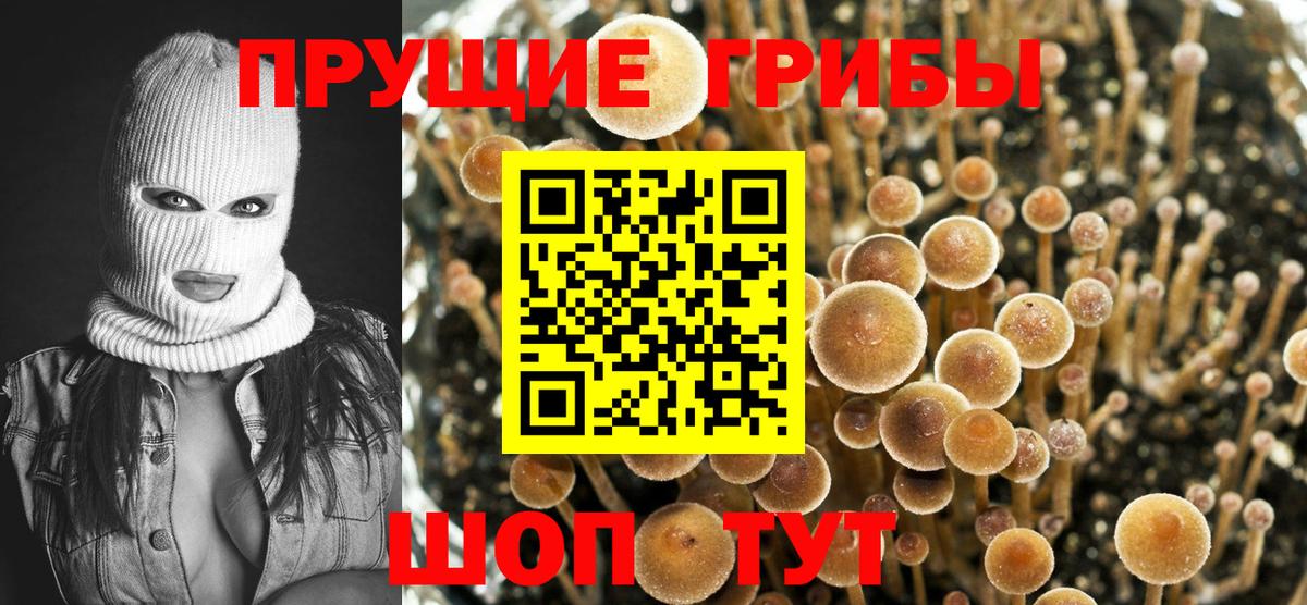 Волгодонск  Галлюциногенные грибы мухоморы  Вход с VPN  Псилоцибиновые грибы Psilocybine cubensis 
